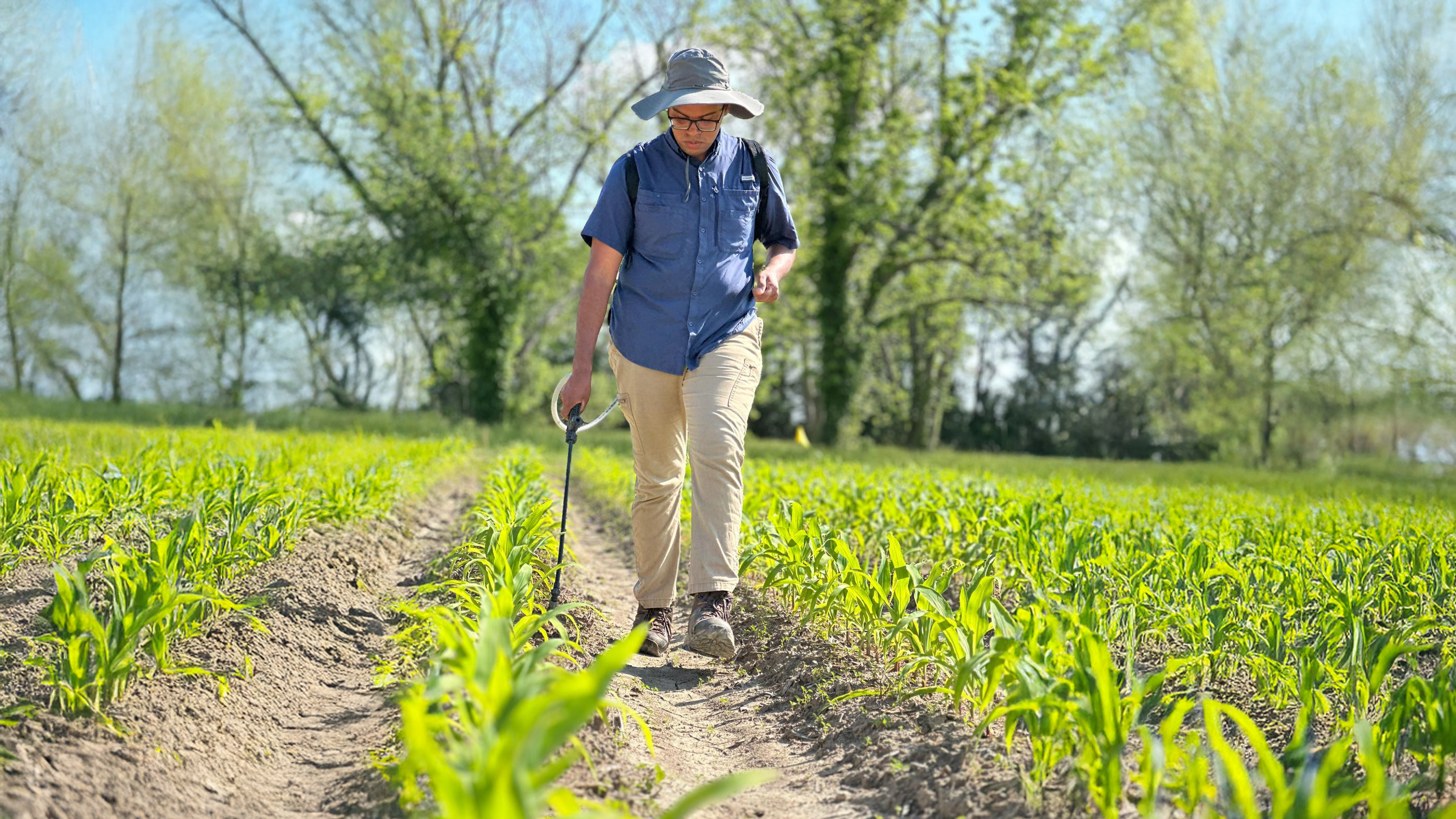 corn biostimulant application_2025_3.jpg thumbnail